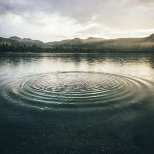 The impact of Bitcoin's halvings on the price of BTC is analogous to a boulder being tossed into a pond.